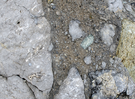 The breccia texture with fragments of different sizes of gray limestone.の写真素材
