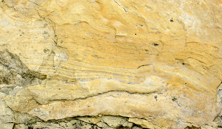 Texture of thin-layered yellow carbonate sandstone close-up.の写真素材