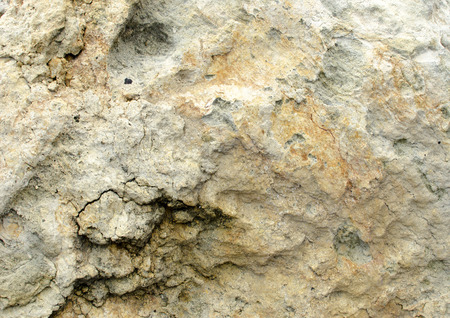 Uneven surface of light yellow limestone of massive texture.の写真素材