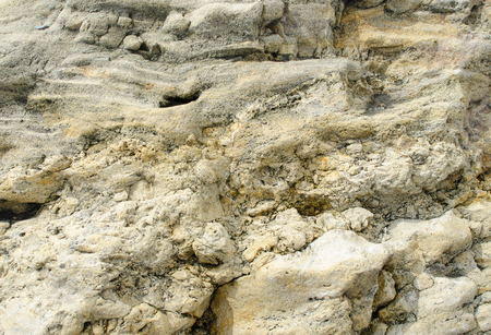 Massive and layered texture of cavernous carbonate sandstone.の写真素材