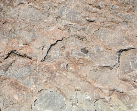 Background of gray ferruginous argillite close-upの写真素材