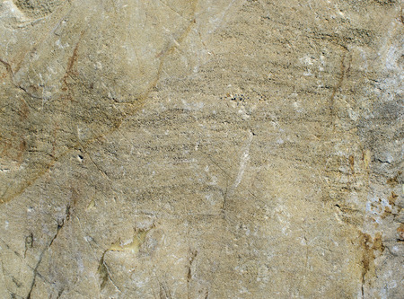 Background of fine-grained porous sandstone with micro-laminationの写真素材