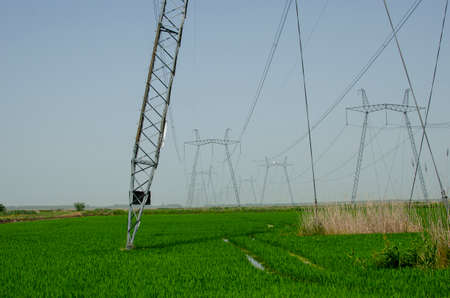 Metallic patterned poles of a powerful line of electricity with wires and insulators against a green field background.の写真素材
