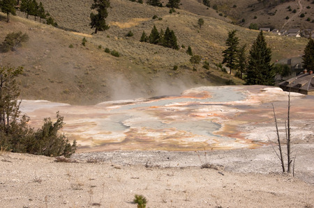 Yellowstone National Park, USAの写真素材