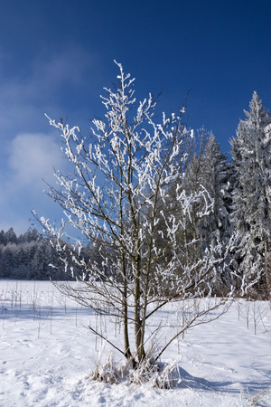 Muehlberg at Saint Wolfgang located in Bavaria, near by Munich.の写真素材