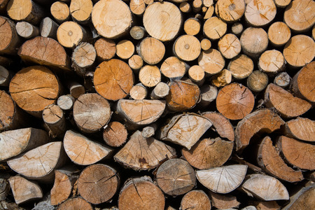 Fuelwood, stapled for drying and waiting for the winter time.の写真素材