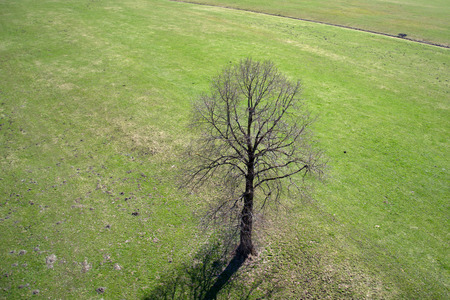 Fields and meadows Photo taken at April in the Pinzgau Valley Austria.の写真素材