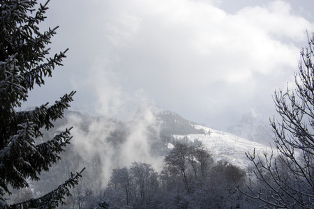 Pinzgau, a valley in the alps of the County Salzburg, Austria.の写真素材