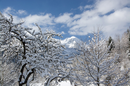 Pinzgau, a valley in the alps of the County Salzburg, Austria.の写真素材