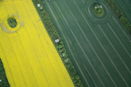 Aerial photo of rape fields in Brandenburg county Germany middle of May.の写真素材