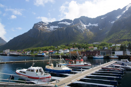 Gryllefjord is a fishing village and also the administrative centre of Torsken municipality, on the...