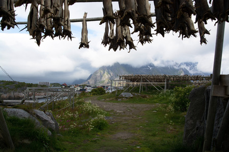 HenningsvÃ¦r is a fishing village located on several small islands off the southern coast of Austvagoya in the Lofoten archipelago in Norway.の写真素材