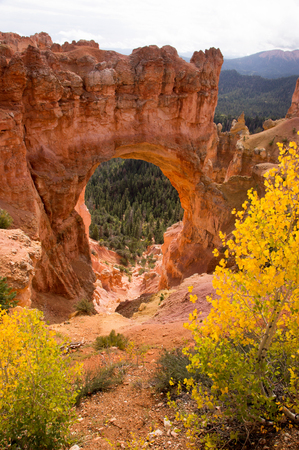 Bryce Canyon National Park is a National Park located in southwestern Utah in the United States.の写真素材