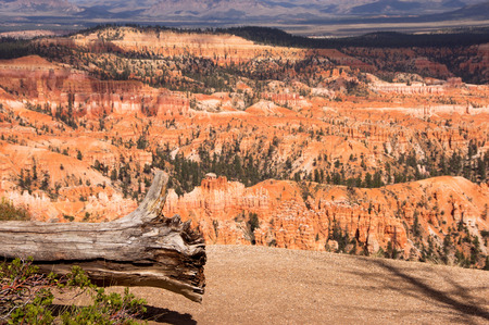 Bryce Canyon National Park is a National Park located in southwestern Utah in the United States.の写真素材
