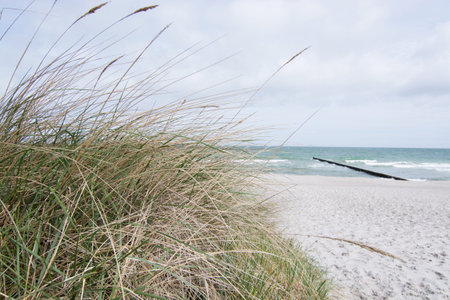 A groyne is a rigid hydraulic structure built from an ocean shore that interrupts water flow and...