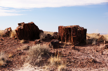 Petrified Forest National Park is a United States national park in Navajo and Apache counties in northeastern Arizona.の写真素材