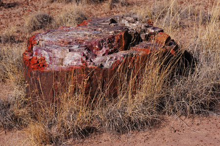 Petrified Forest National Park is a United States national park in Navajo and Apache counties in northeastern Arizona.の写真素材
