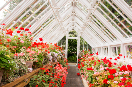 A greenhouse, glasshouse or hothouse is a structure in which plants requiring regulated climatic conditions are grown.の写真素材