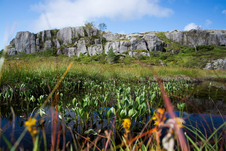 Landscape at the way up to thePreikestolen or Prekestolen in the norwegian province Rogaland.の写真素材