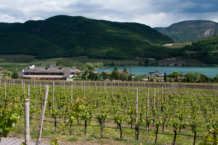 Lake Kaltern, Italian Lago di Caldaro, is a lake in the municipality of Kaltern in South Tyrol, Italy.

の写真素材