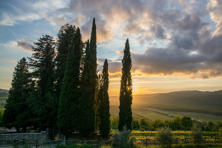 Valley of the Mirna at Motovun in Istria, Croatia.の写真素材