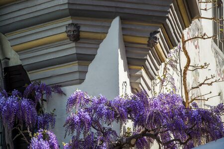 Meersburg is a town in Baden-Wuerttemberg in the southwest of Germany. It is on Lake Constance.の写真素材