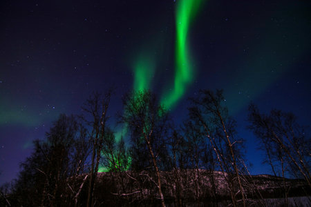 An aurora borealis, sometimes referred to as polar lights or northern lights, is a natural light...