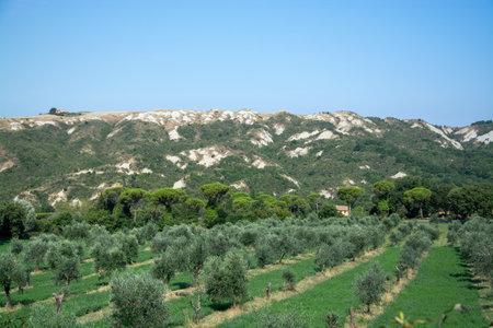 Tuscany is a region in central Italy and is known for its landscapes, history, artistic legacy, and its influence on high culture.の写真素材