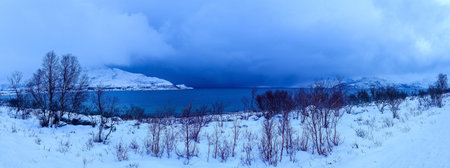 Landscape in wintertime on the island of Kvaloya in Norway.