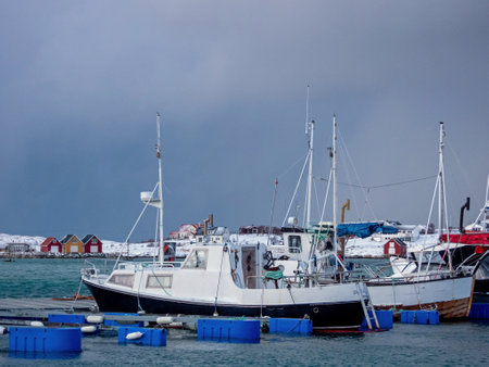 Winter in Sommaroy on the island Store Sommaroya, Norway.の写真素材