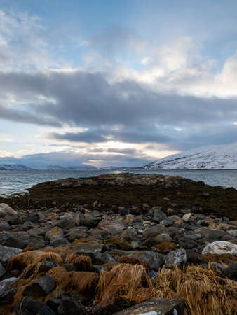 Landscape in wintertime on the island of Kvaloya in Norway.の写真素材