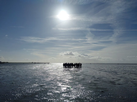 Tidal flats are certain coastal areas of a sea that are strongly influenced by the tides. Large...