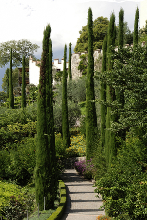 Botanic garden at the castle Trauttmansdorff of Merano - Italy.の写真素材