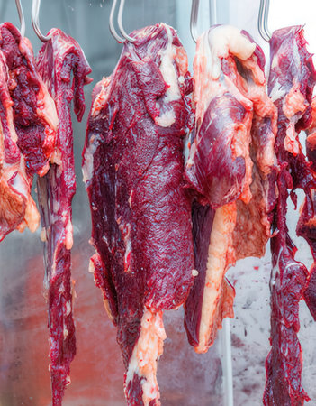 Raw beef meat hanging on hooks, closeup.の写真素材