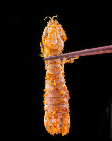 Prawns on a chopstick isolated on a black background.の写真素材