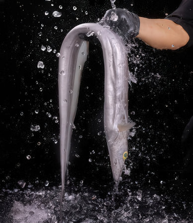 hand of a man in black rubber gloves pours waterの写真素材
