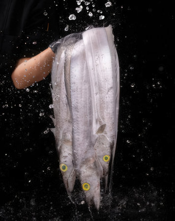 Frozen fish on a black background with splashes of water.の写真素材