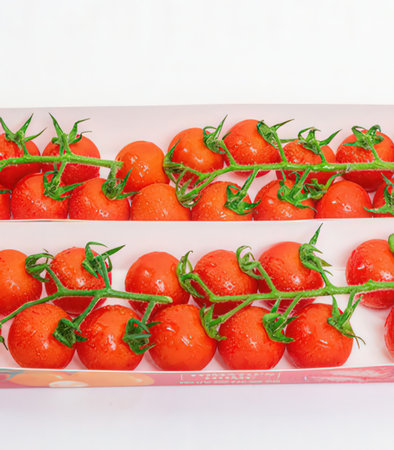Cherry tomatoes on the vine in a box on a white backgroundの写真素材
