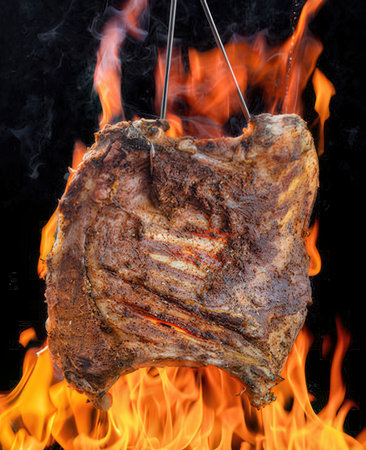 Piece of meat on a skewer in the flames of fireの写真素材