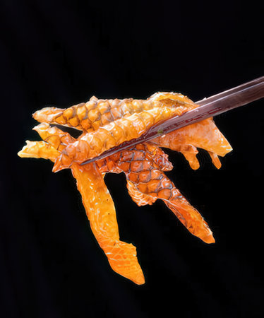 Sushi on chopsticks isolated on black background, japanese foodの写真素材