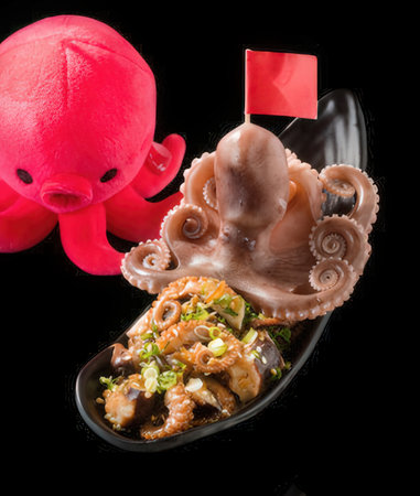 Seafood. Octopus, squid on black backgroundの写真素材