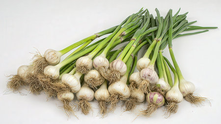 Bunch of fresh garlic on a white background. Studio shot.の素材