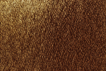 Copper metal background or texture and gradients shadow. 3d illustrationの写真素材