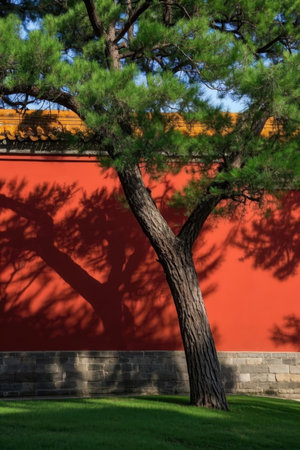Pine tree and red wall at Forbidden City, Beijing, Chinaの素材