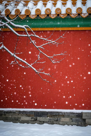 Red wall covered with snow in Gyeongbokgung Palace, Seoul, South Koreaの素材