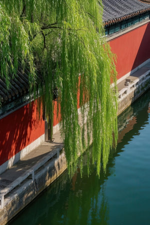 Green weeping willow tree and red wall in the Forbidden City.の素材