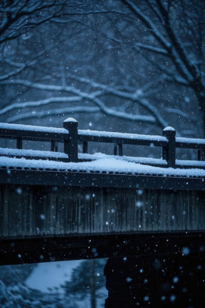 Wooden bridge in the winter forest with falling snow. Toned.の素材