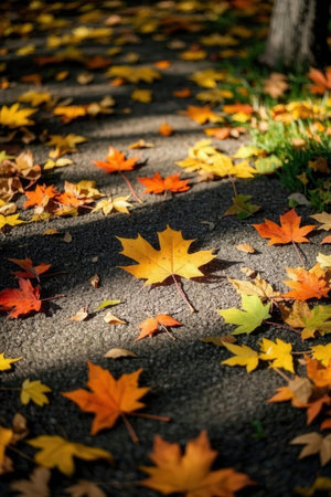 Autumn leaves on the ground in the park. Selective focus.の素材
