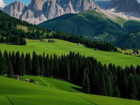 Alpine meadows in Dolomites, South Tyrol, Italyの素材