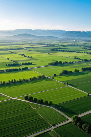 Aerial view of green agricultural fields with mountains in the background.の素材